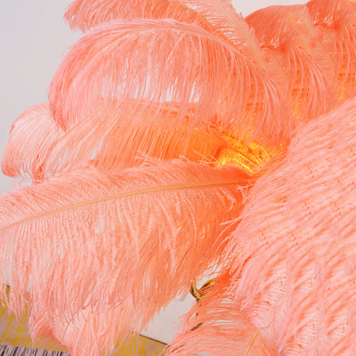 Aisa Featherly Ostrich Feathe Table Lamp